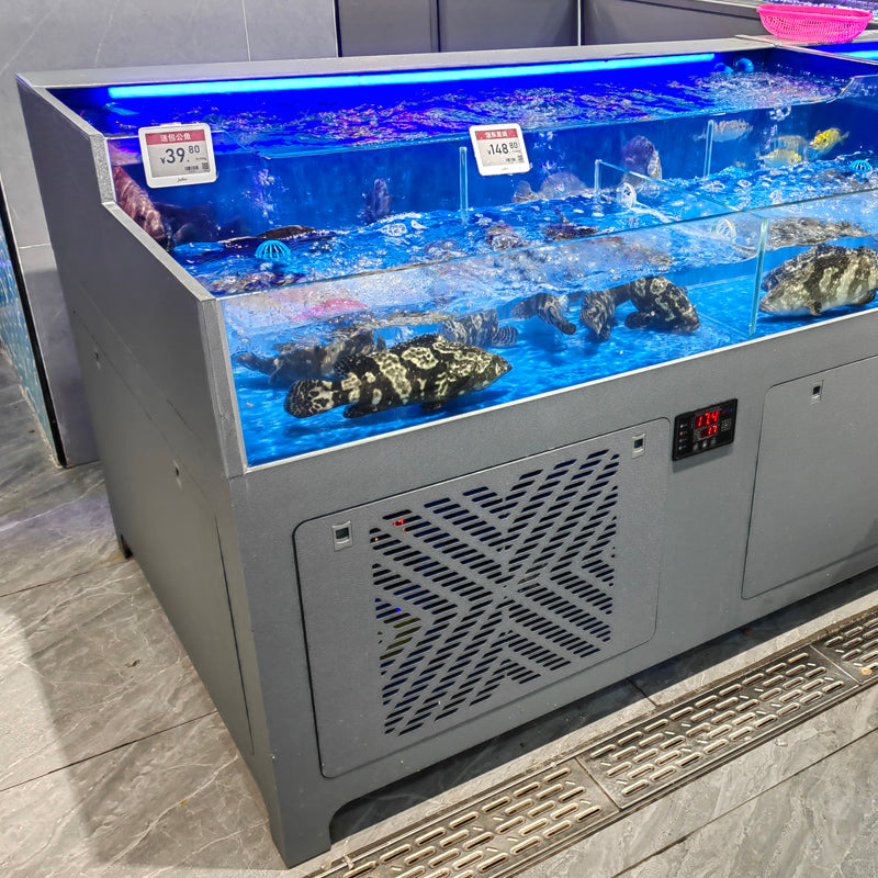 Newest Supermarket two layers multi-layer fish tank