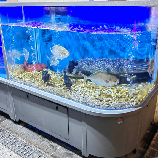 Newest simple supermarket fish tank